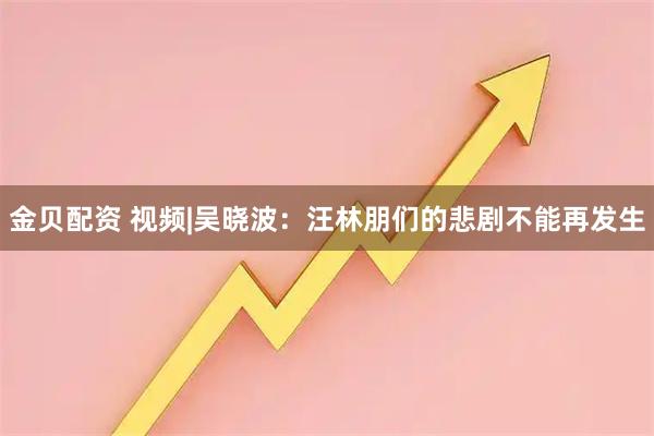 金贝配资 视频|吴晓波：汪林朋们的悲剧不能再发生
