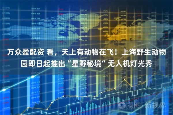 万众盈配资 看，天上有动物在飞！上海野生动物园即日起推出“星野秘境”无人机灯光秀