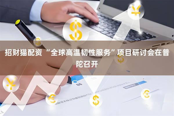 招财猫配资 “全球高温韧性服务”项目研讨会在普陀召开
