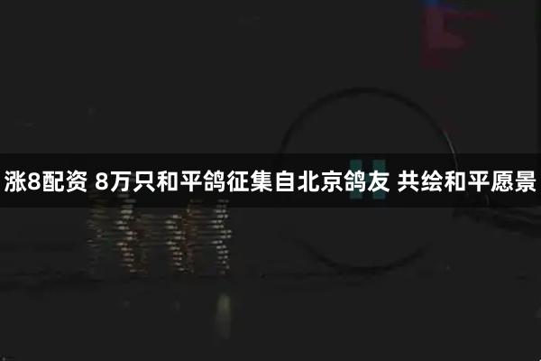 涨8配资 8万只和平鸽征集自北京鸽友 共绘和平愿景
