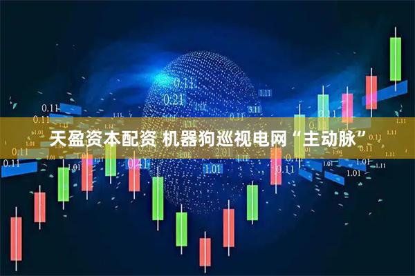 天盈资本配资 机器狗巡视电网“主动脉”