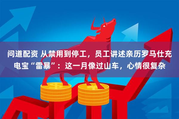 问道配资 从禁用到停工,员工讲述亲历罗马仕充电宝“雷暴”:这一月像过山车,心情很复杂