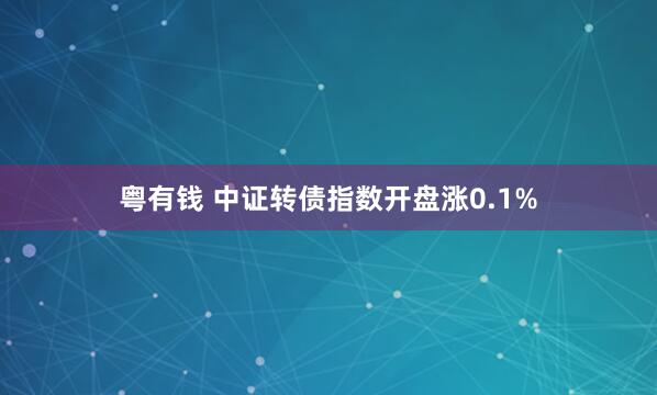 粤有钱 中证转债指数开盘涨0.1%
