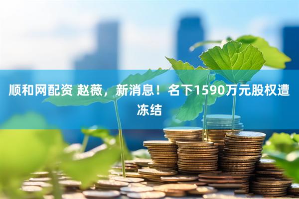 顺和网配资 赵薇，新消息！名下1590万元股权遭冻结
