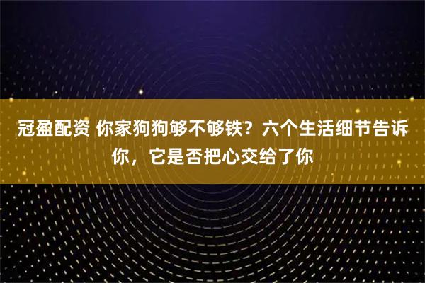 冠盈配资 你家狗狗够不够铁？六个生活细节告诉你，它是否把心交给了你