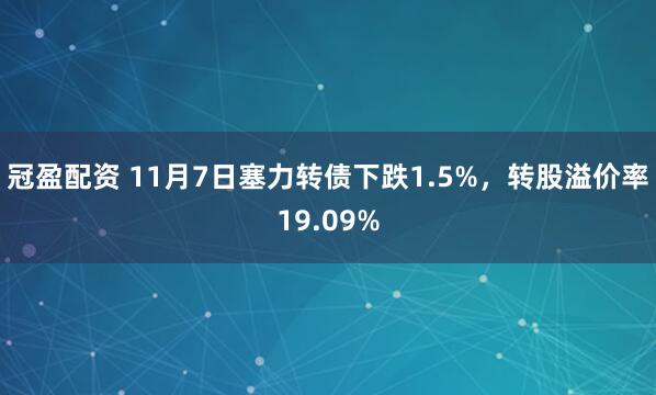 冠盈配资 11月7日塞力转债下跌1.5%，转股溢价率19.09%